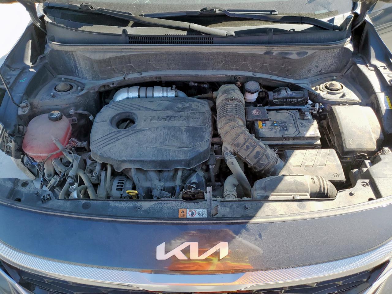 2023 Kia Seltos Sx VIN: KNDETCA26P7380431 Lot: 82426815