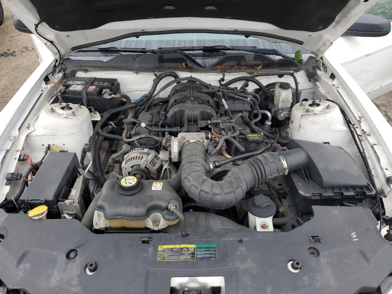 2010 Ford Mustang VIN: 1ZVBP8EN3A5113501 Lot: 86463785