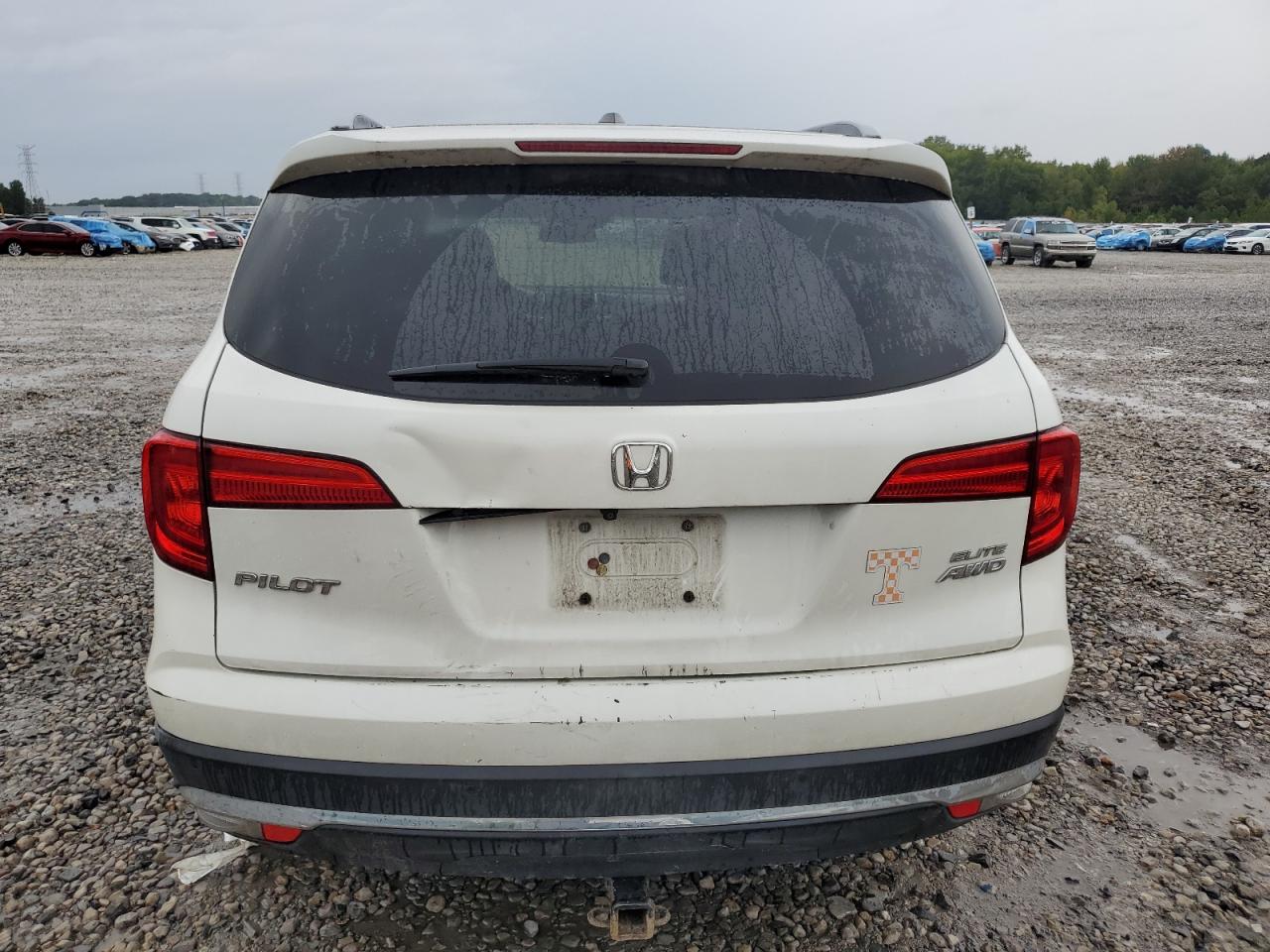 2017 Honda Pilot Elite VIN: 5FNYF6H07HB043837 Lot: 82187795