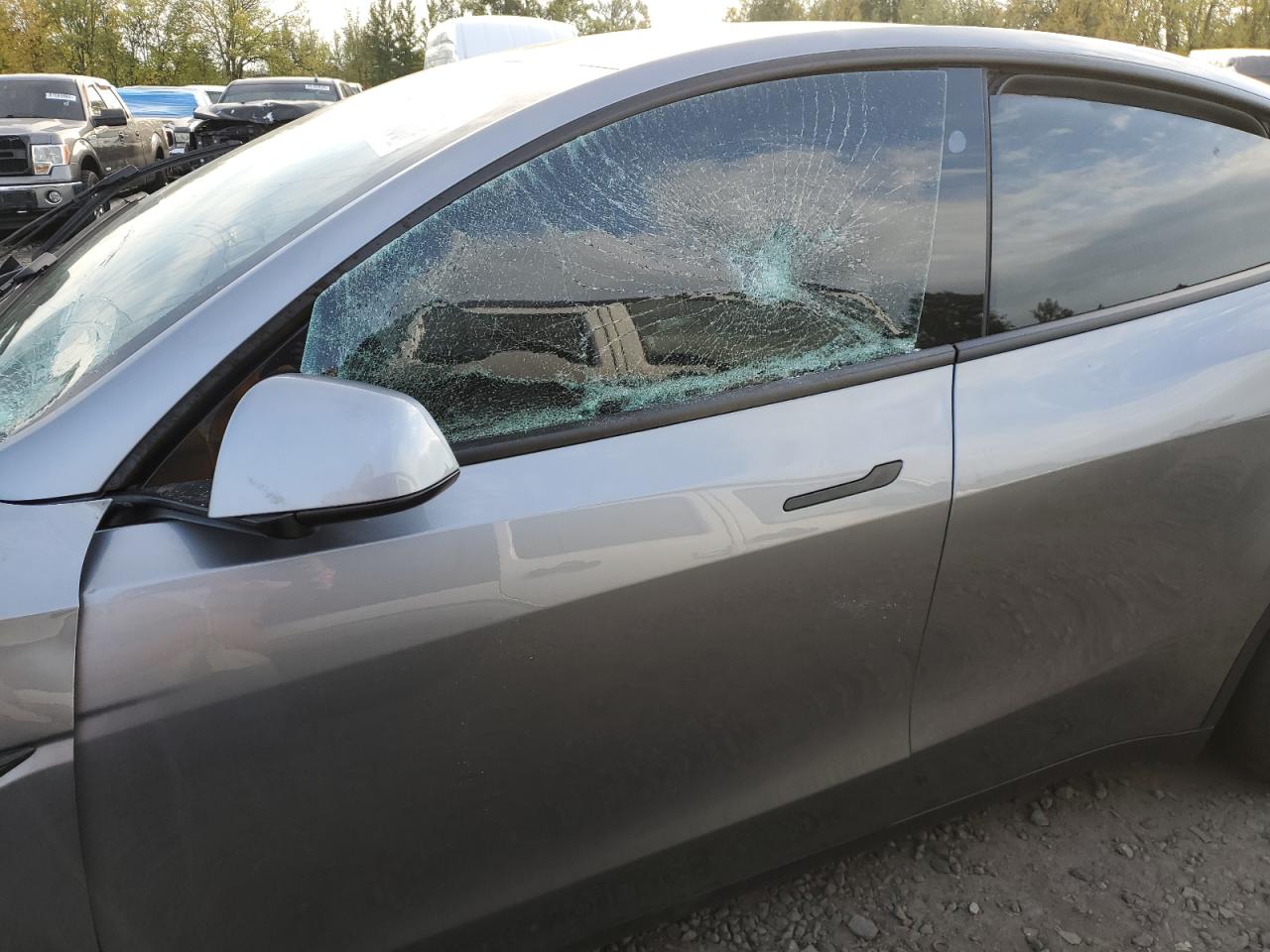 2025 Tesla Model Y VIN: 7SAYGDEFXSF307038 Lot: 87126665