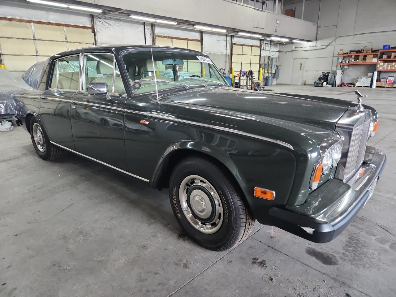 Silver Shadow Silver Shadow