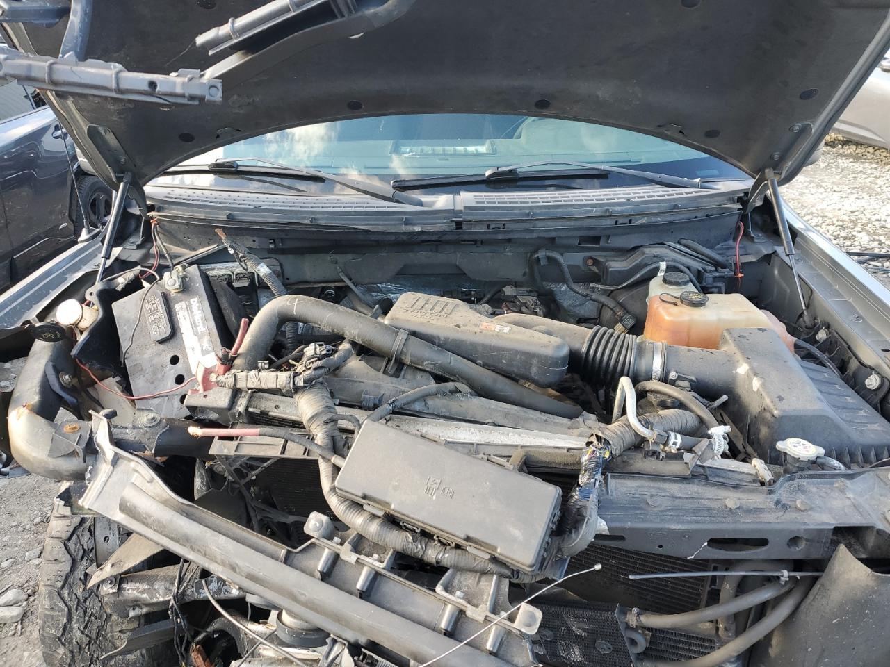 2010 Ford F150 Super Cab VIN: 1FTEX1EW1AFA87913 Lot: 87261245