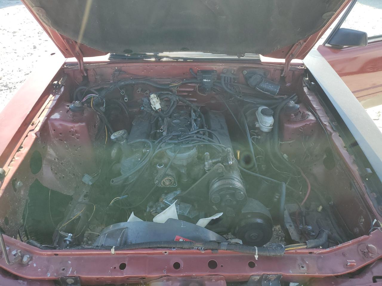 1985 Ford Mustang Lx VIN: 1FABP28M8FF242361 Lot: 86287155