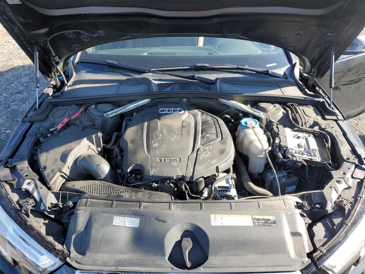 2019 Audi A4 Premium Plus VIN: WAUENAF4XKN006656 Lot: 82674625