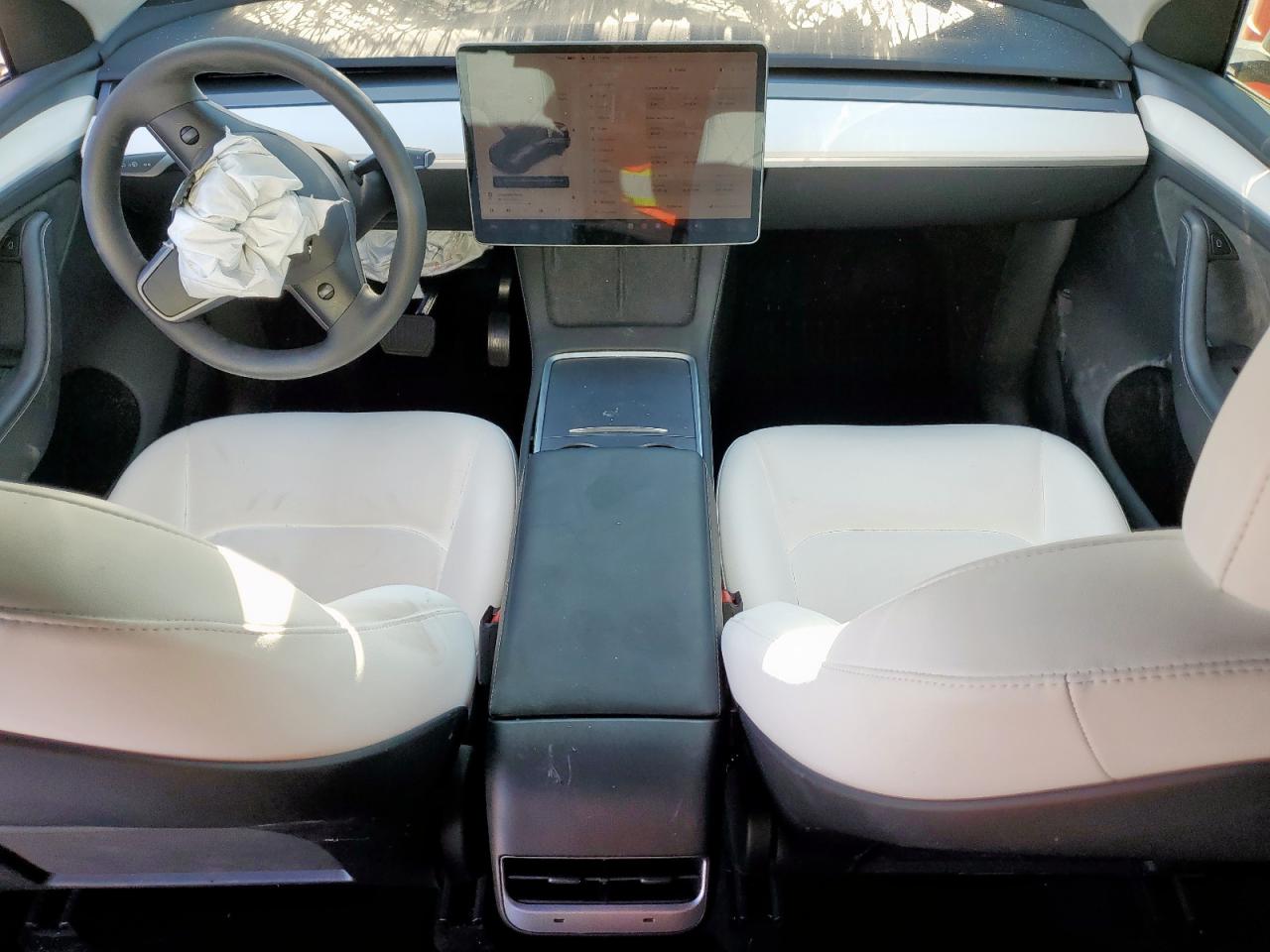 2023 Tesla Model Y VIN: 7SAYGDEE2PA117519 Lot: 86185655