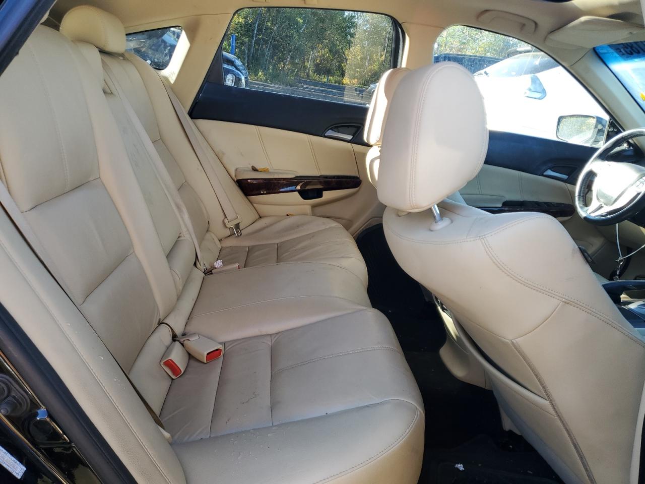 2010 Honda Accord Crosstour Exl VIN: 5J6TF2H51AL800968 Lot: 83750185