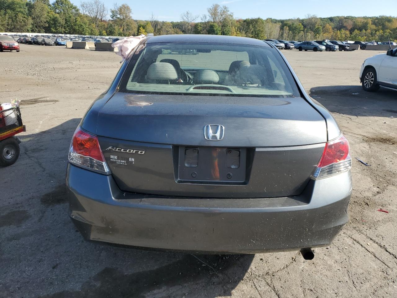 2010 Honda Accord Lx VIN: 1HGCP2F30AA166456 Lot: 85349005