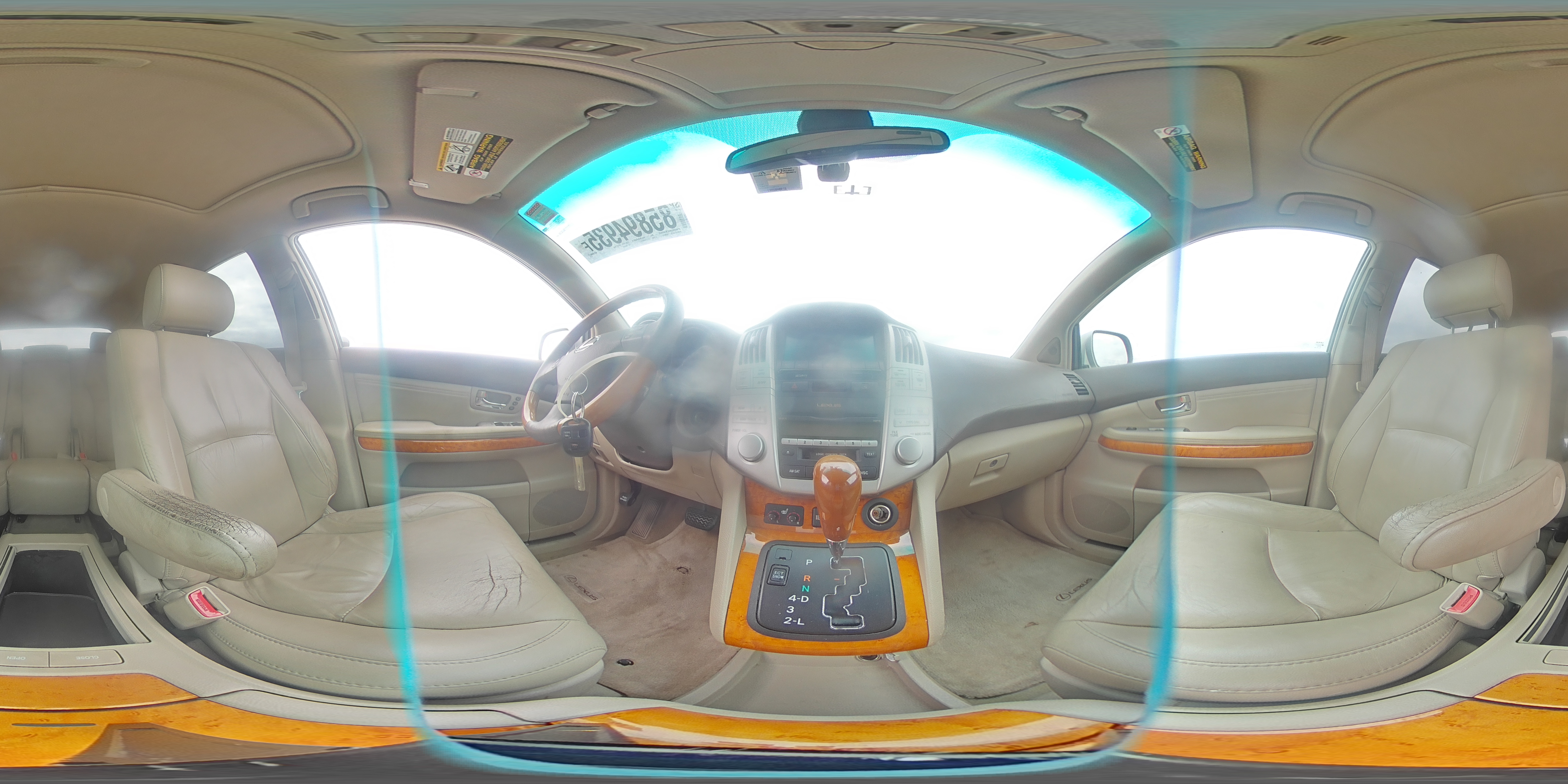 2009 Lexus Rx 350 VIN: 2T2GK31U69C059998 Lot: 85894935