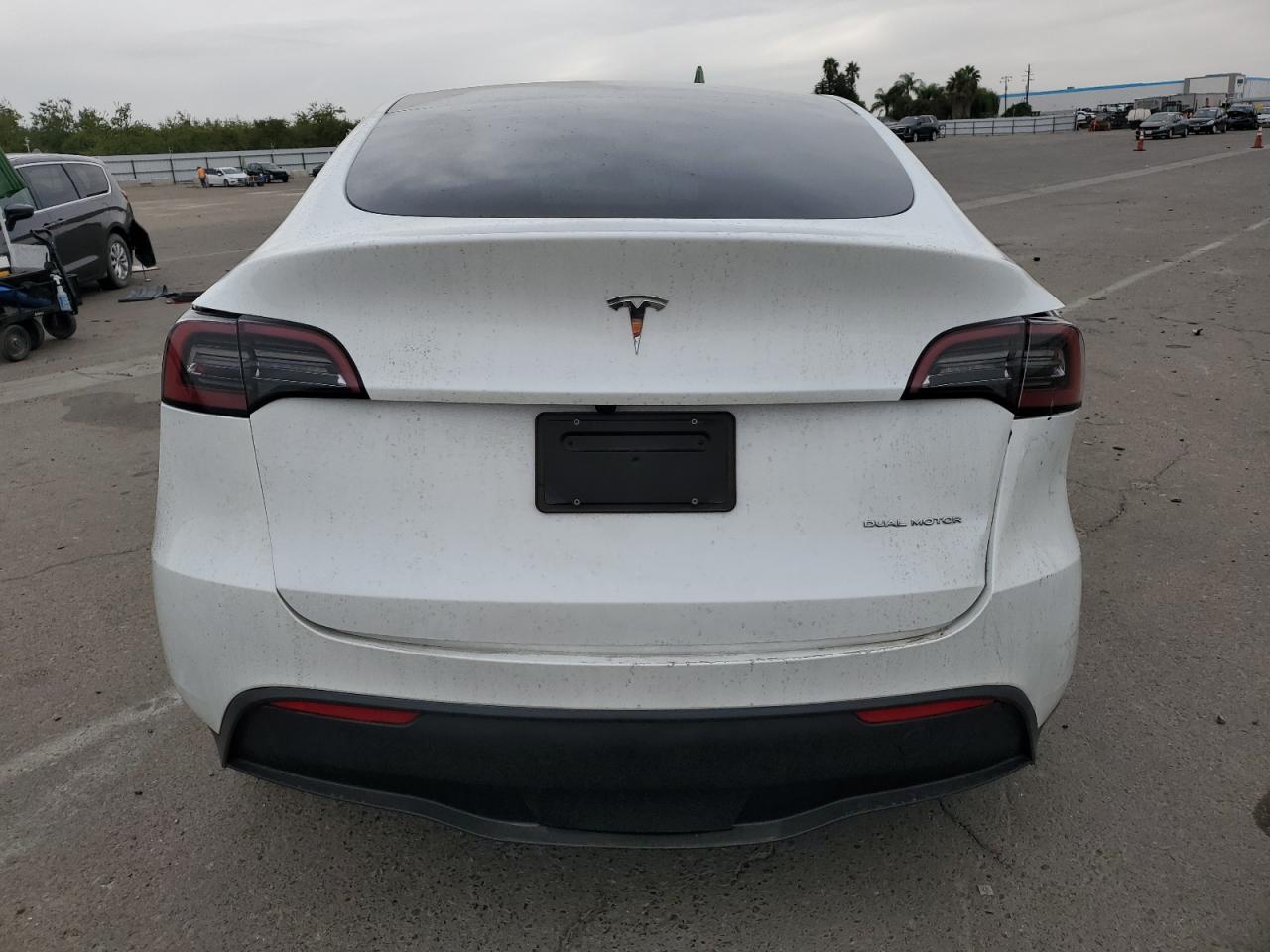 2024 Tesla Model Y VIN: 7SAYGDEE3RF031559 Lot: 86495325