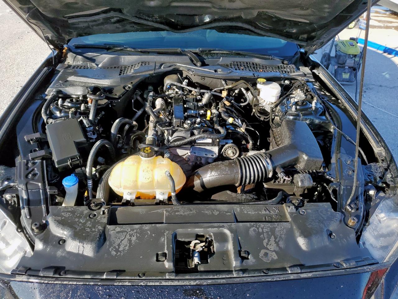 2021 Ford Mustang VIN: 1FA6P8TH9M5147194 Lot: 85406155