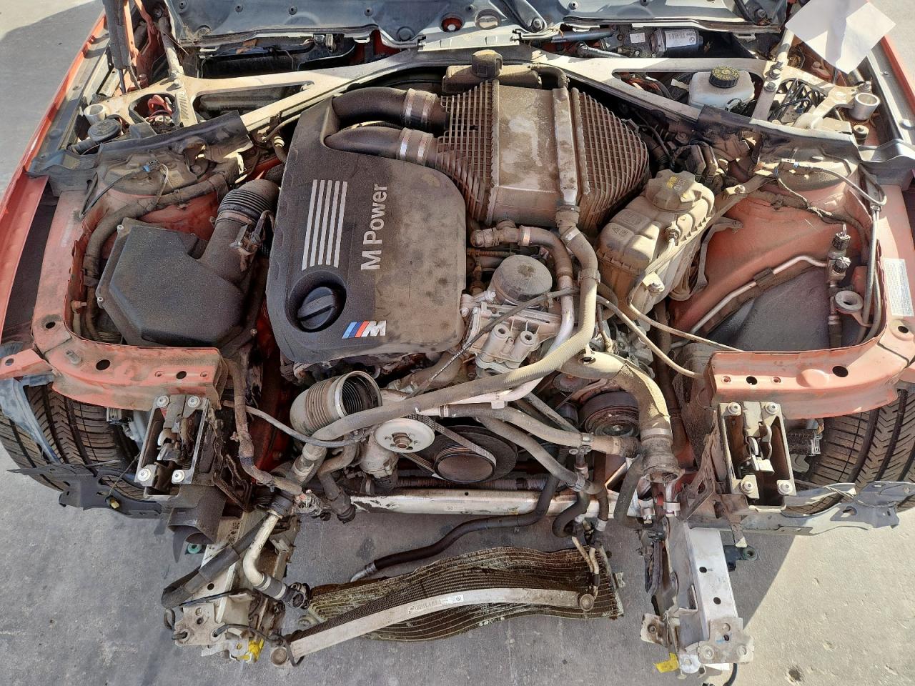 Фото: WBS8M9C50G5D30510