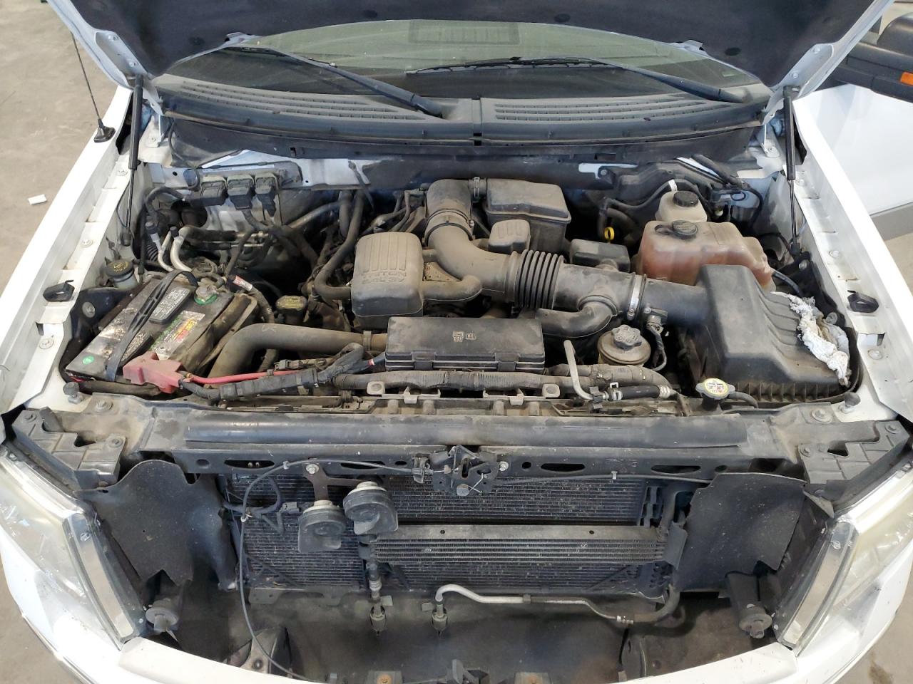 2010 Ford F150 Supercrew VIN: 1FTFW1EV6AFA95925 Lot: 81987995