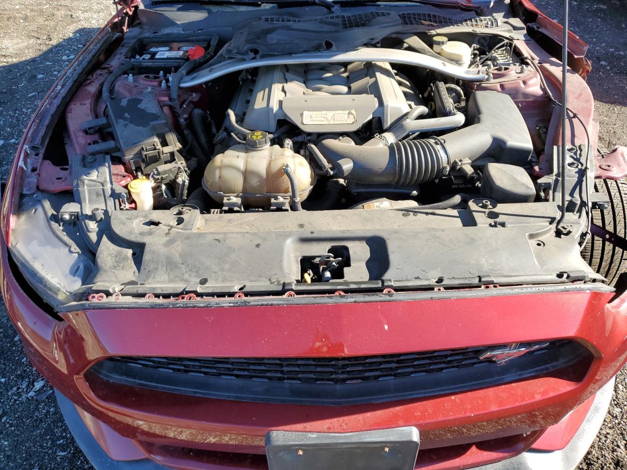 2017 Ford Mustang Gt VIN: 1FATP8FF2H5262979 Lot: 86091955