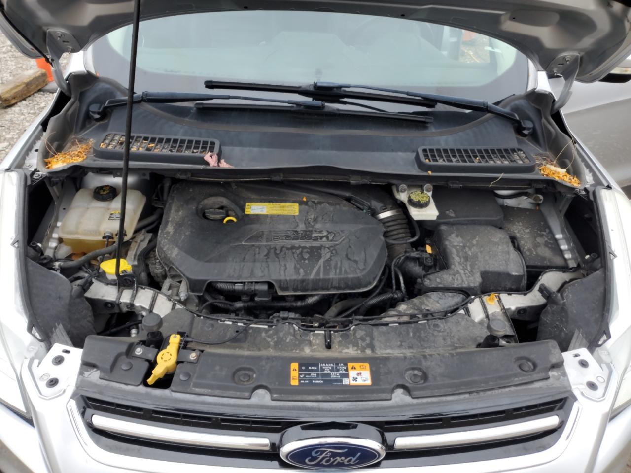 2013 Ford Escape Sel VIN: 1FMCU0HX7DUC12908 Lot: 82007935