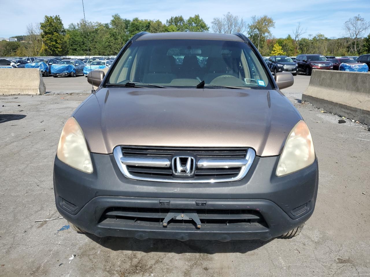 2004 Honda Cr-V Ex VIN: JHLRD78824C022880 Lot: 85090055