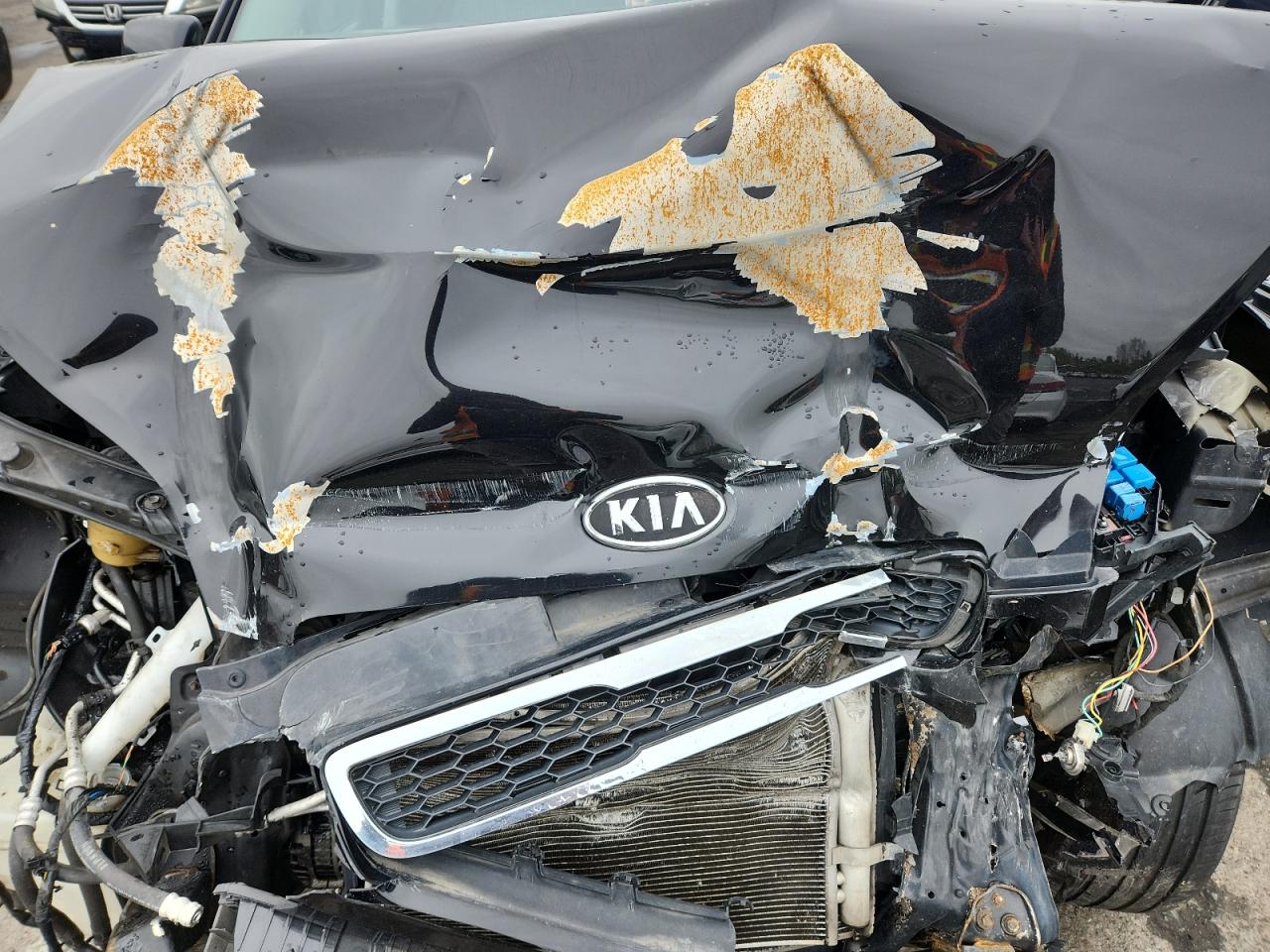 2010 Kia Soul + VIN: KNDJT2A22A7136839 Lot: 86473555