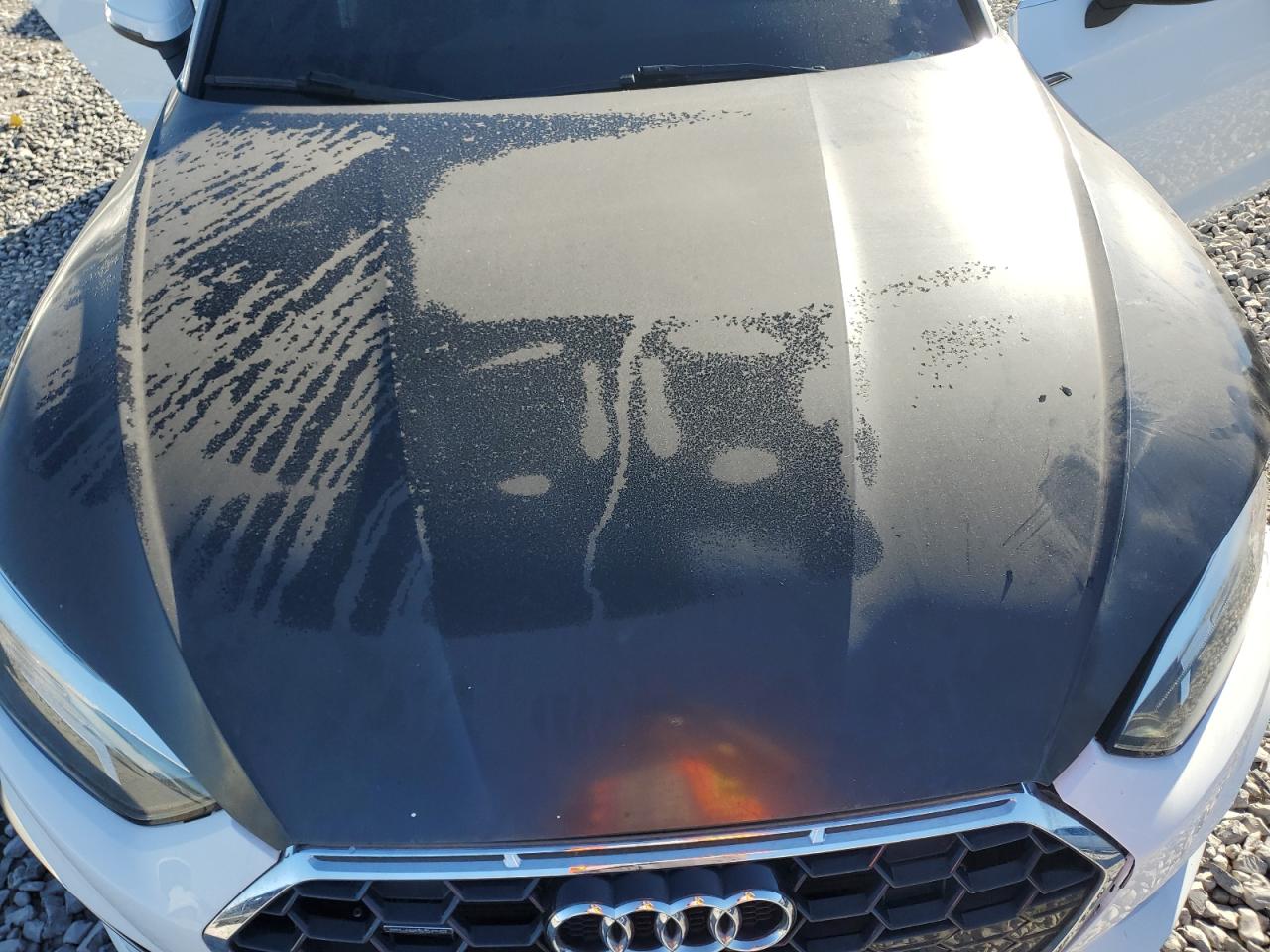 2021 Audi A5 Premium 45 VIN: WAUDACF55MA044477 Lot: 86307565