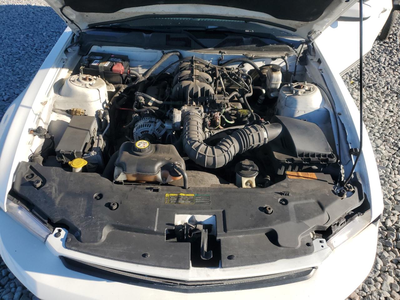 2010 Ford Mustang VIN: 1ZVBP8EN2A5119791 Lot: 90981555