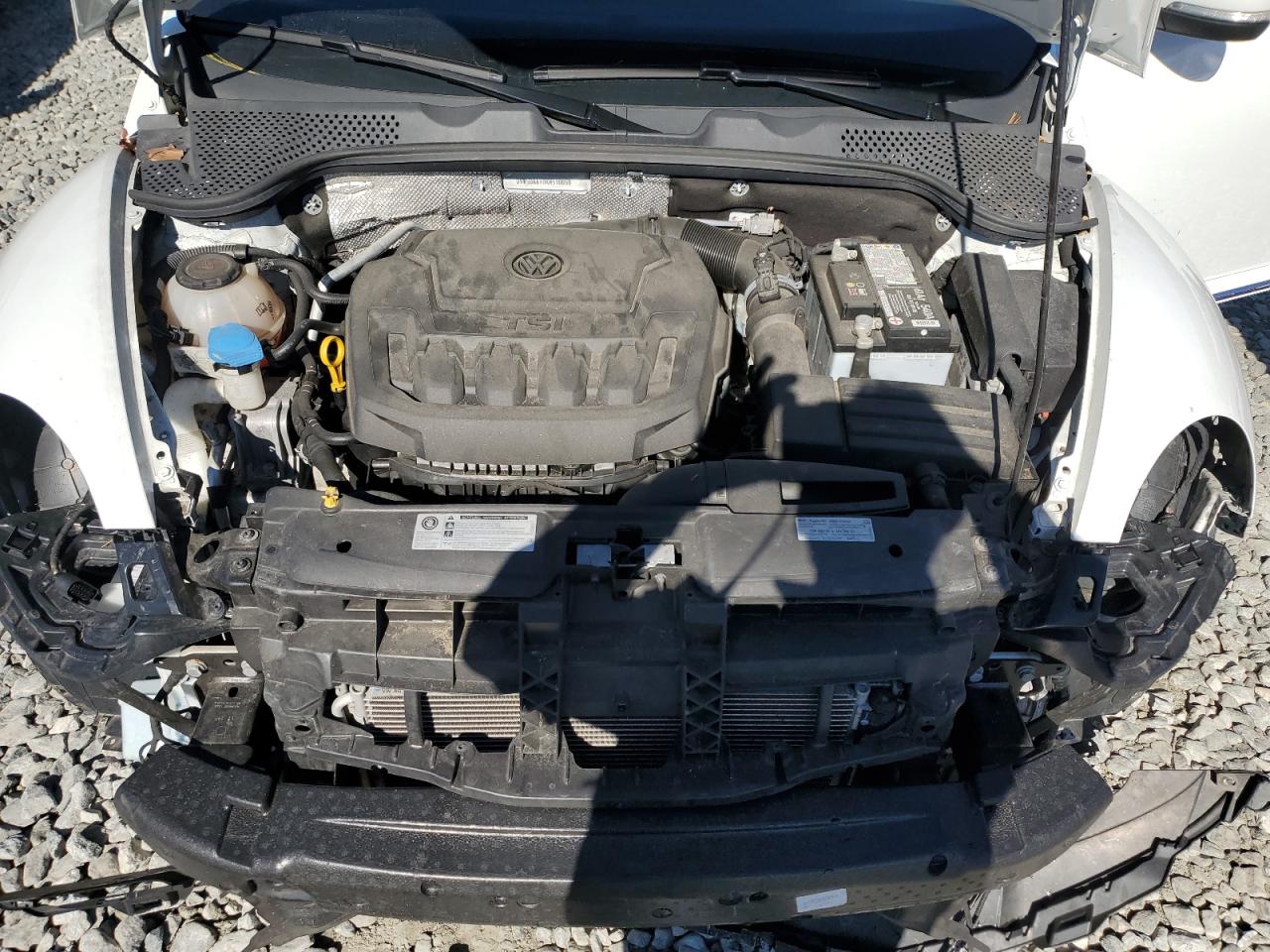 2019 Volkswagen Beetle S VIN: 3VW5DAAT0KM510659 Lot: 85518885