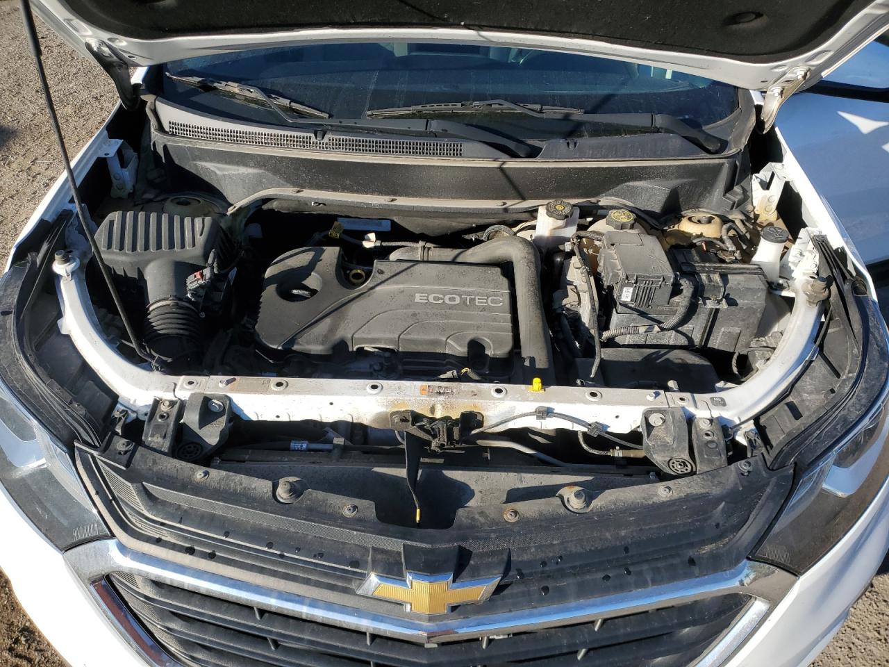 2019 Chevrolet Equinox Lt VIN: 2GNAXKEV5K6116862 Lot: 85478935