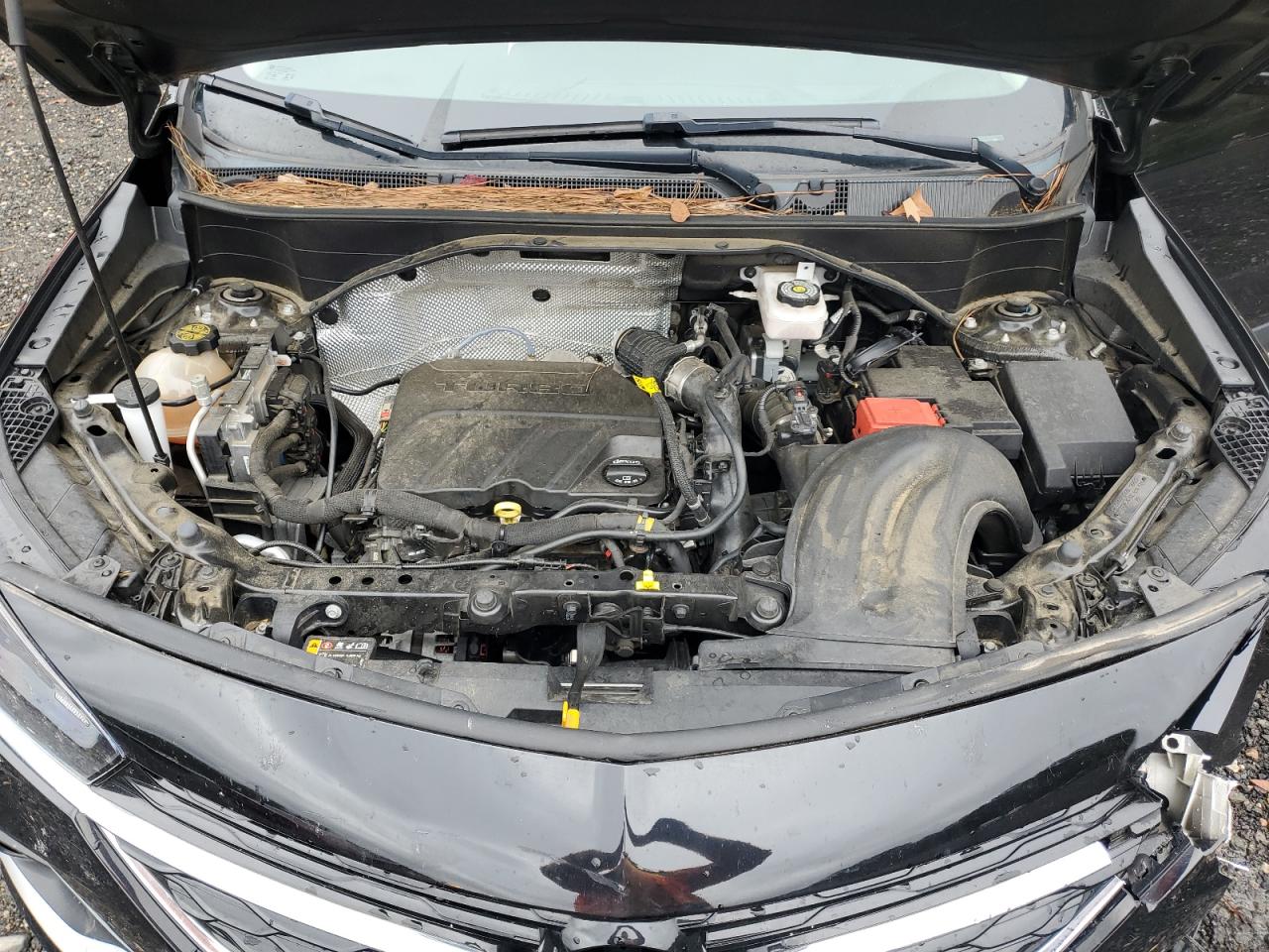 2023 Buick Encore Gx Select VIN: KL4MMDS26PB002534 Lot: 86699835