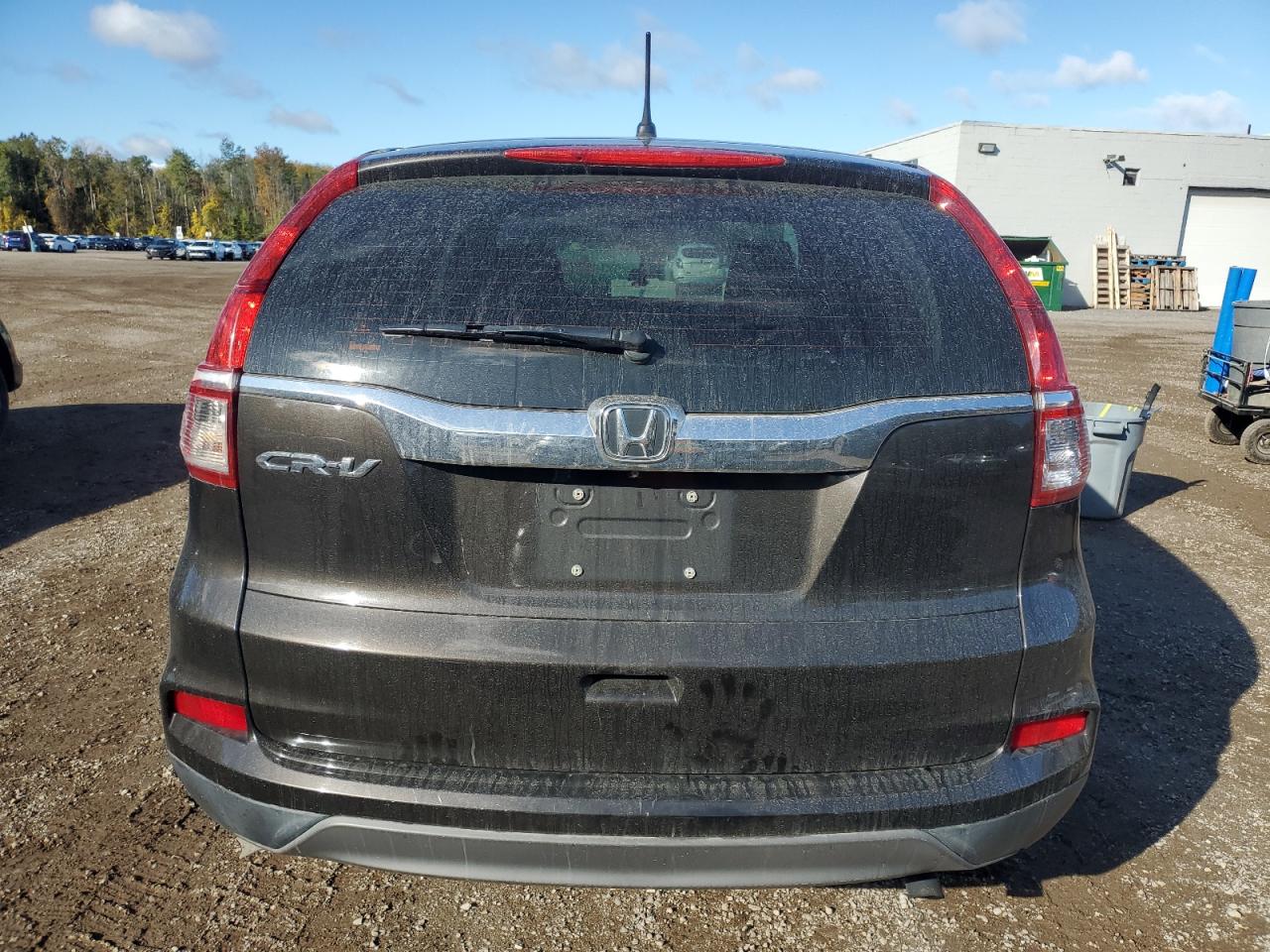 2015 Honda Cr-V Lx VIN: 2HKRM3H3XFH507950 Lot: 85818665