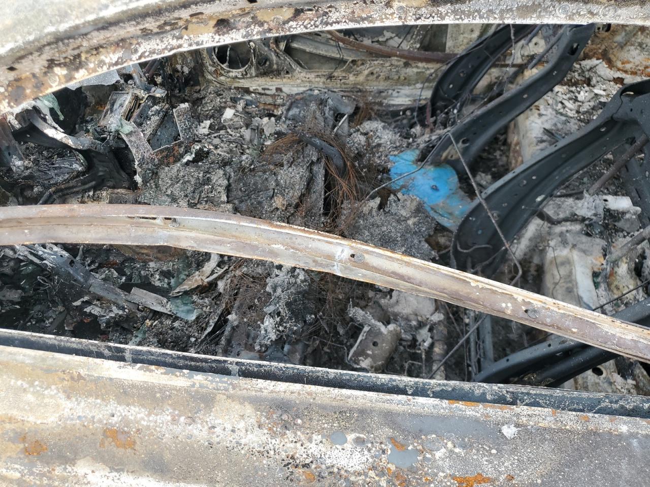 2017 Ford Mustang VIN: 1FA6P8AMXH5255345 Lot: 85514545