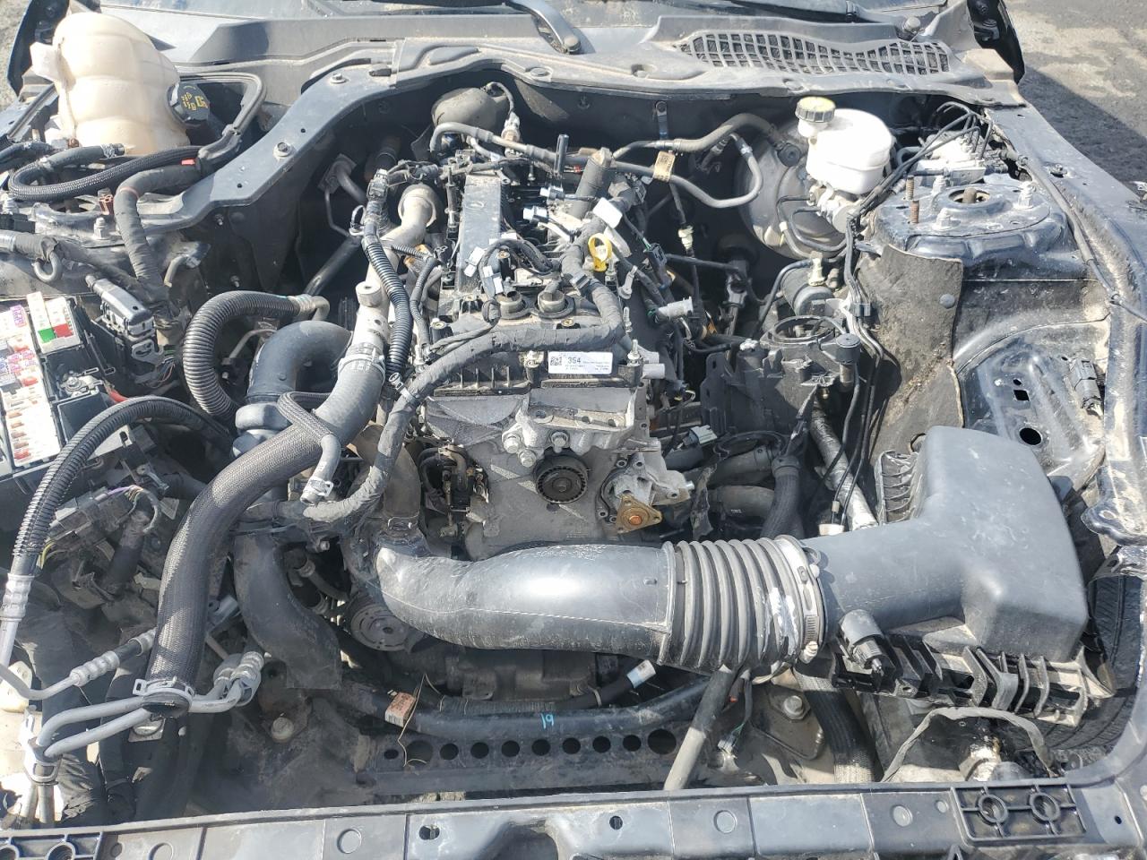 2019 Ford Mustang VIN: 1FA6P8TH5K5176821 Lot: 85096365