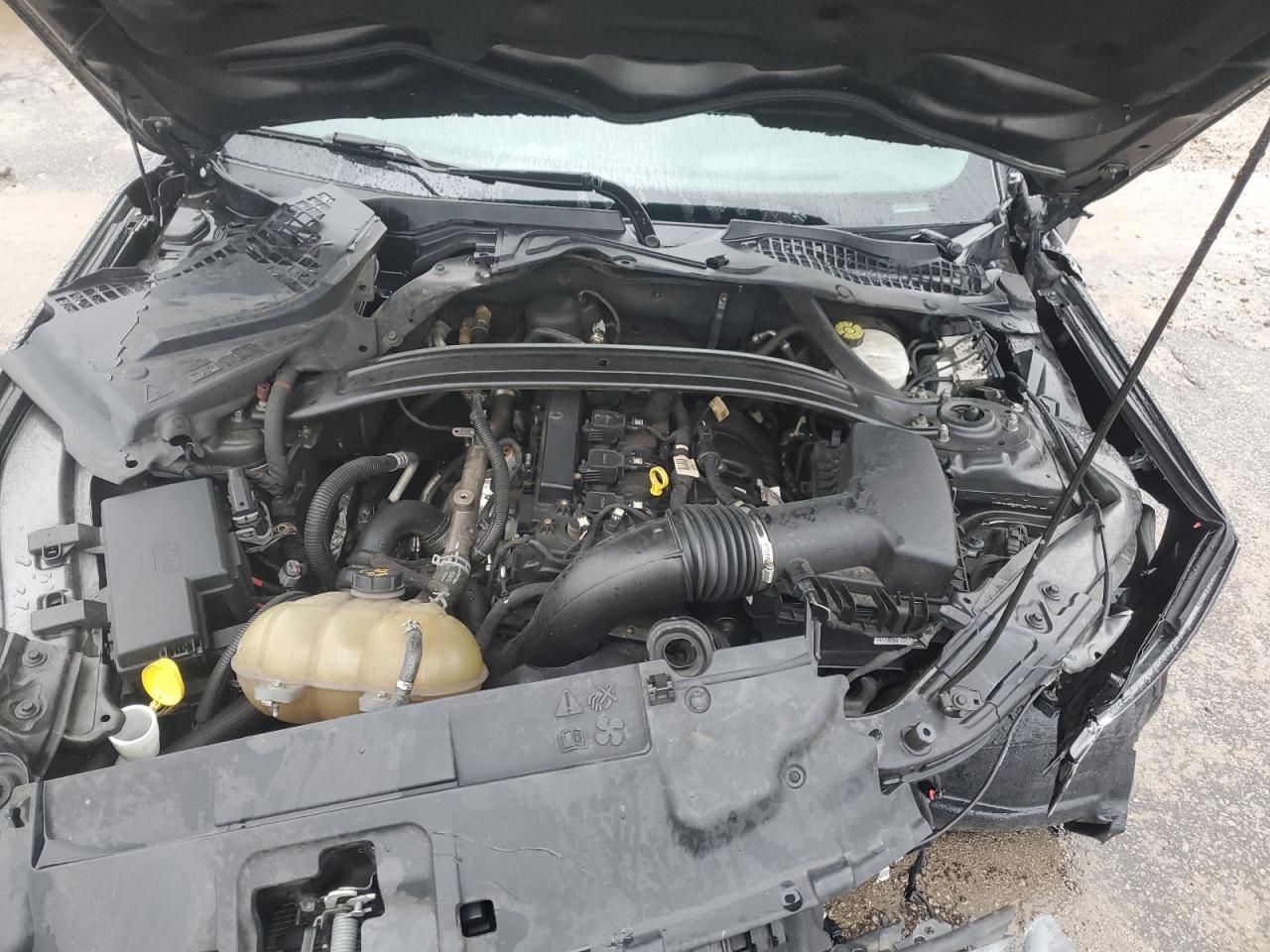 2019 Ford Mustang VIN: 1FA6P8TH6K5200558 Lot: 86169775