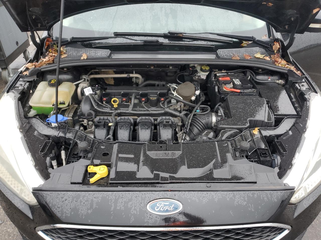 2015 Ford Focus Se VIN: 1FADP3F2XFL205488 Lot: 85360705