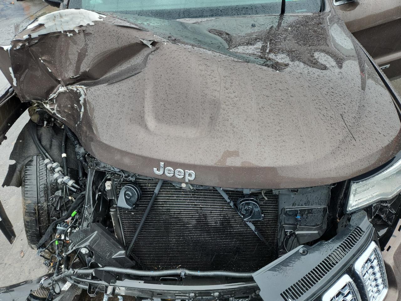 2019 Jeep Grand Cherokee Overland VIN: 1C4RJFCG8KC689528 Lot: 86176815