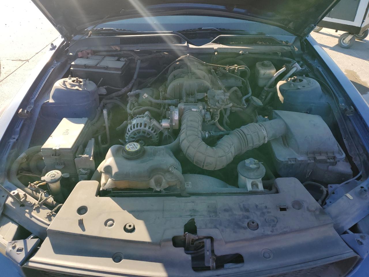 2008 Ford Mustang VIN: 1ZVHT80N185199320 Lot: 87006785