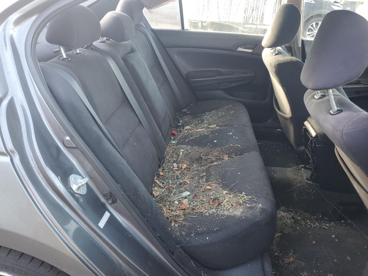 2011 Honda Accord Lx VIN: 1HGCP2F37BA013297 Lot: 81965525