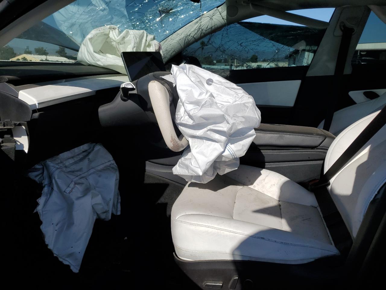 2022 Tesla Model Y VIN: 7SAYGDEE8NF351356 Lot: 85860865