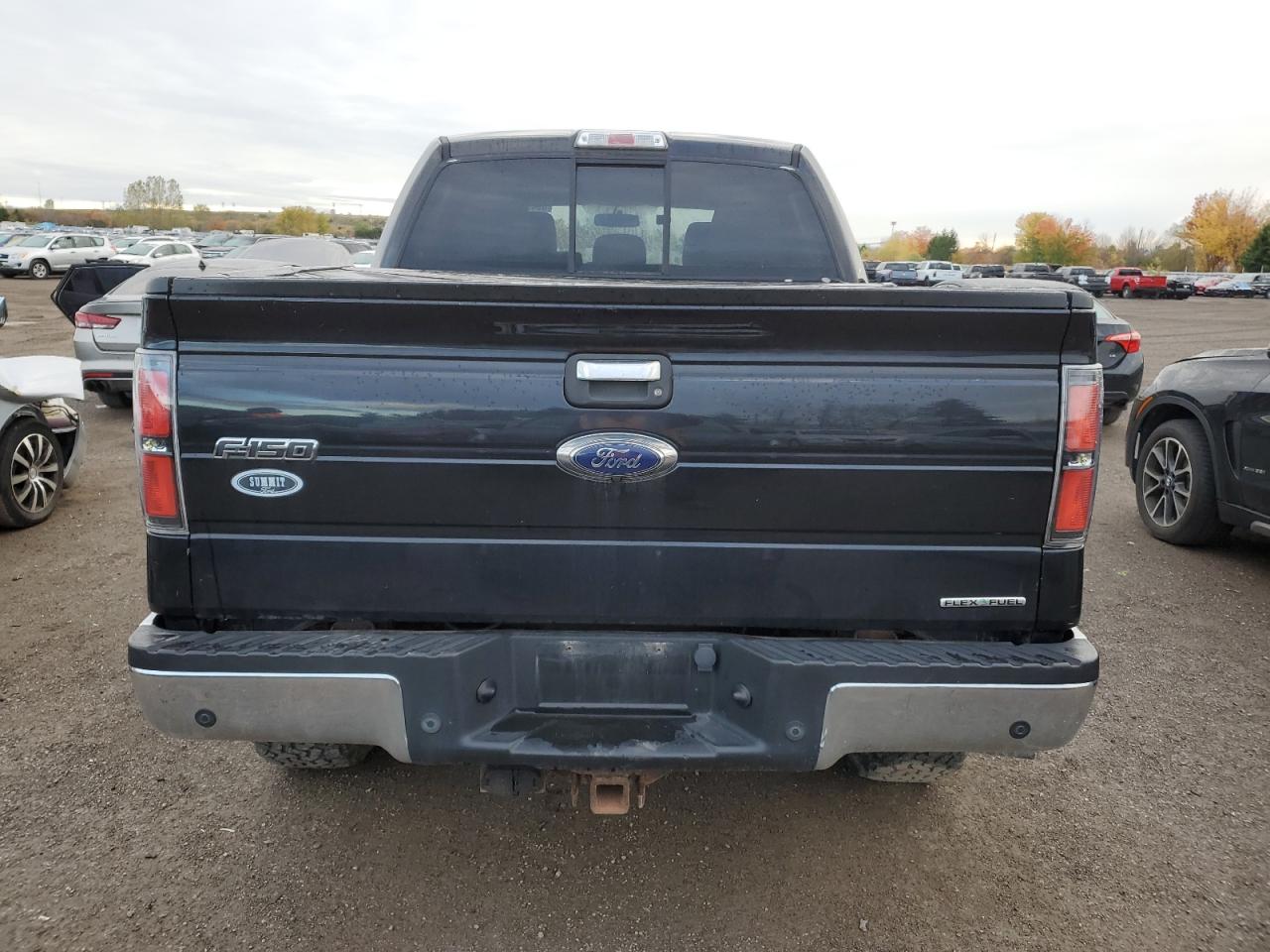 2014 Ford F150 Supercrew VIN: 1FTFW1EFXEKD96025 Lot: 89494695