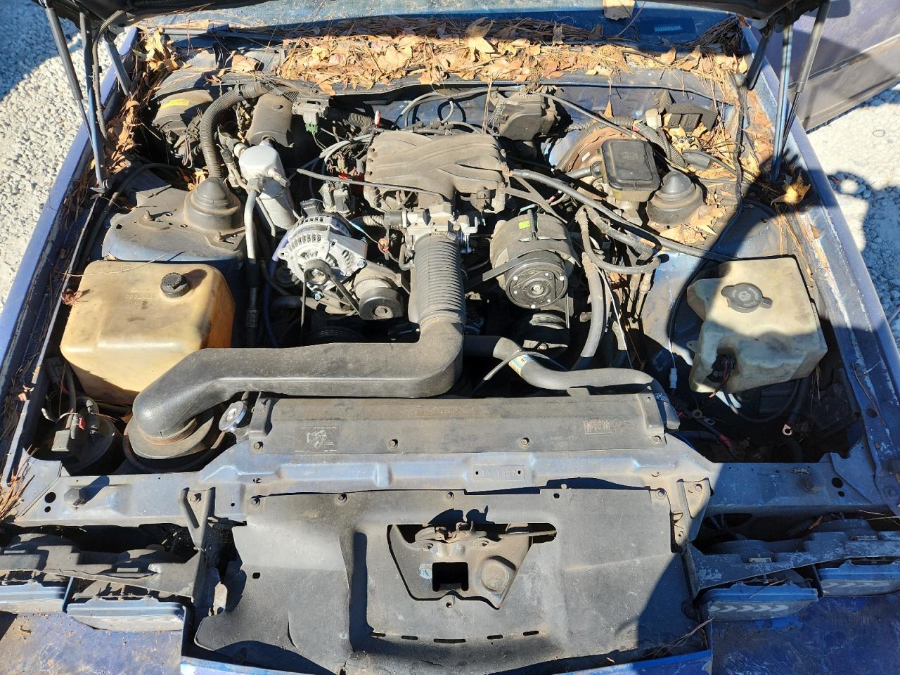 1991 Chevrolet Camaro Rs VIN: 1G1FP23T2ML170834 Lot: 86480425