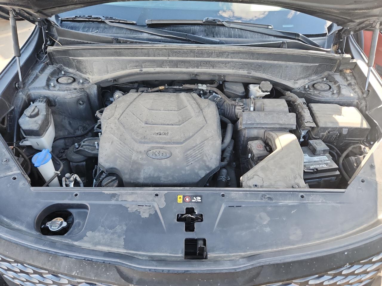 2021 Kia Telluride Lx VIN: 5XYP2DHC3MG098259 Lot: 84896875