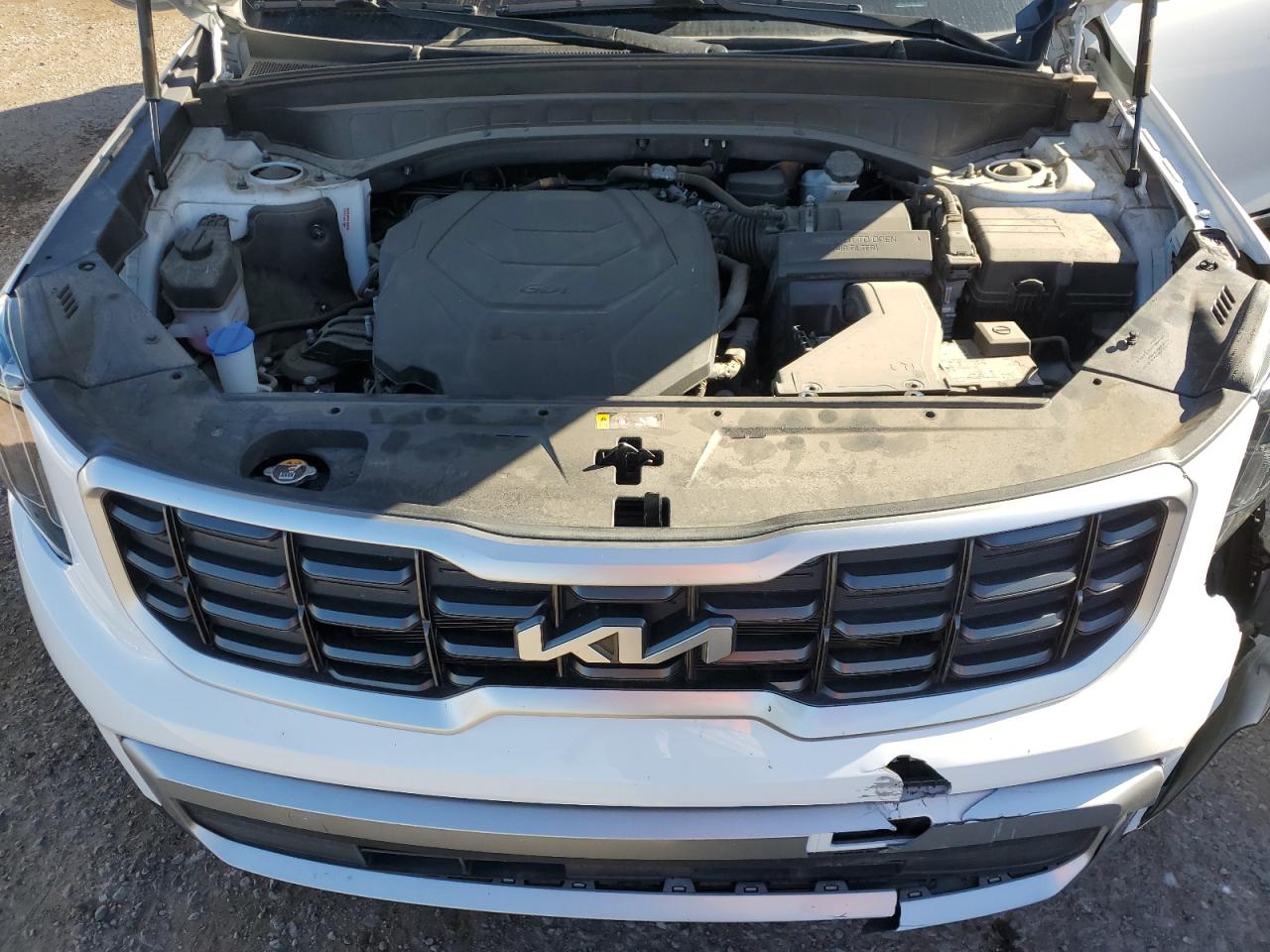 2023 Kia Telluride S VIN: 5XYP6DGC4PG403584 Lot: 81989855