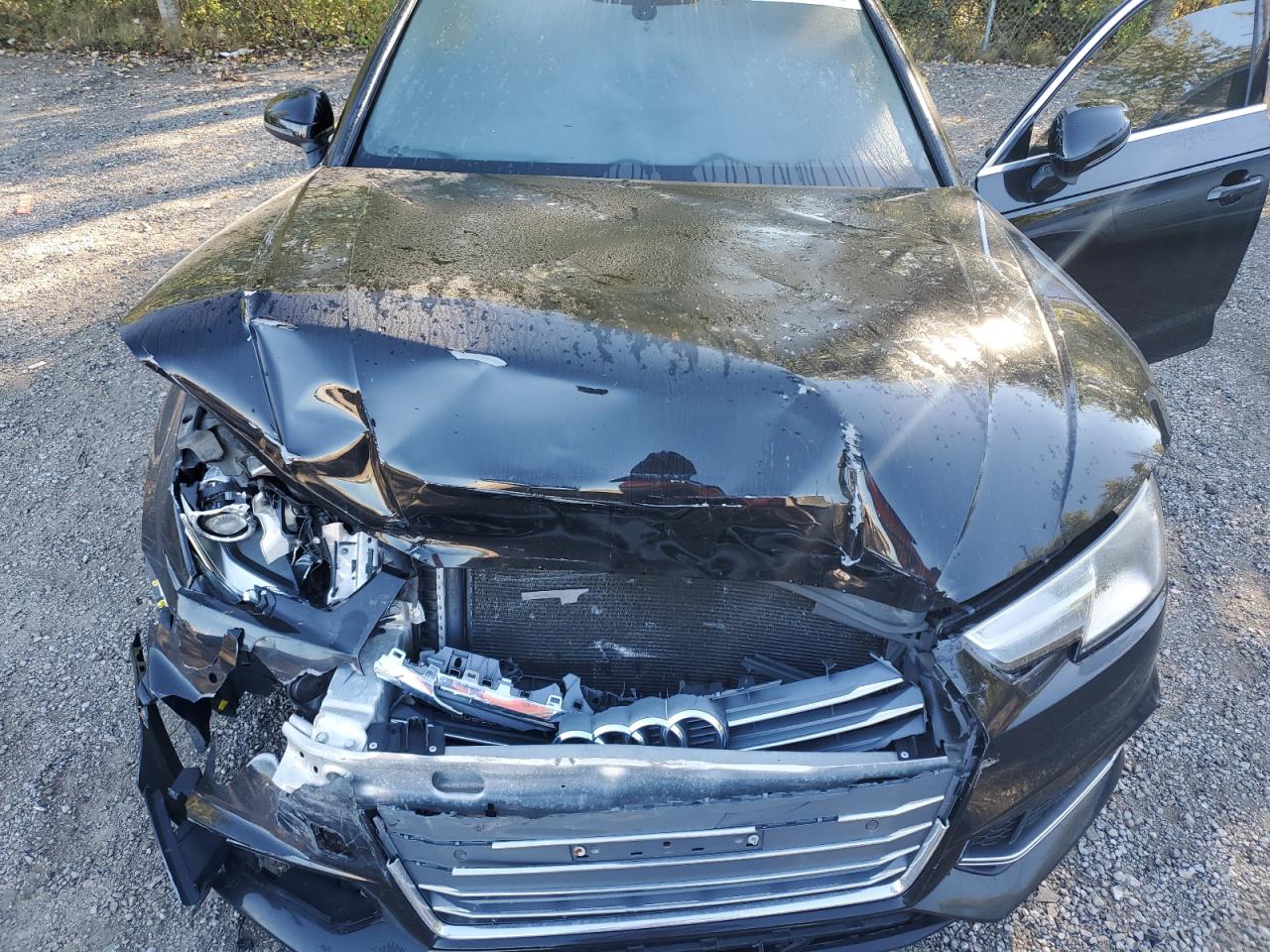 2019 Audi A4 Komfort VIN: WAUANAF46KN019869 Lot: 84195015