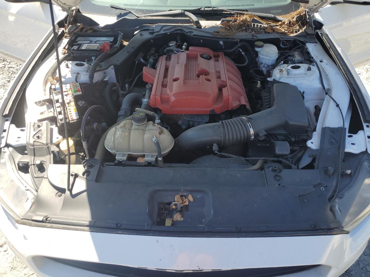 2016 Ford Mustang VIN: 1FA6P8TH7G5259318 Lot: 87439125