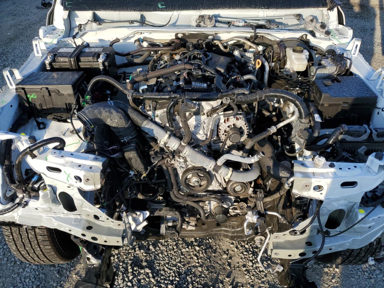 2024 Toyota Tacoma Double Cab VIN: 3TYLB5JN2RT057295 Lot: 82729025