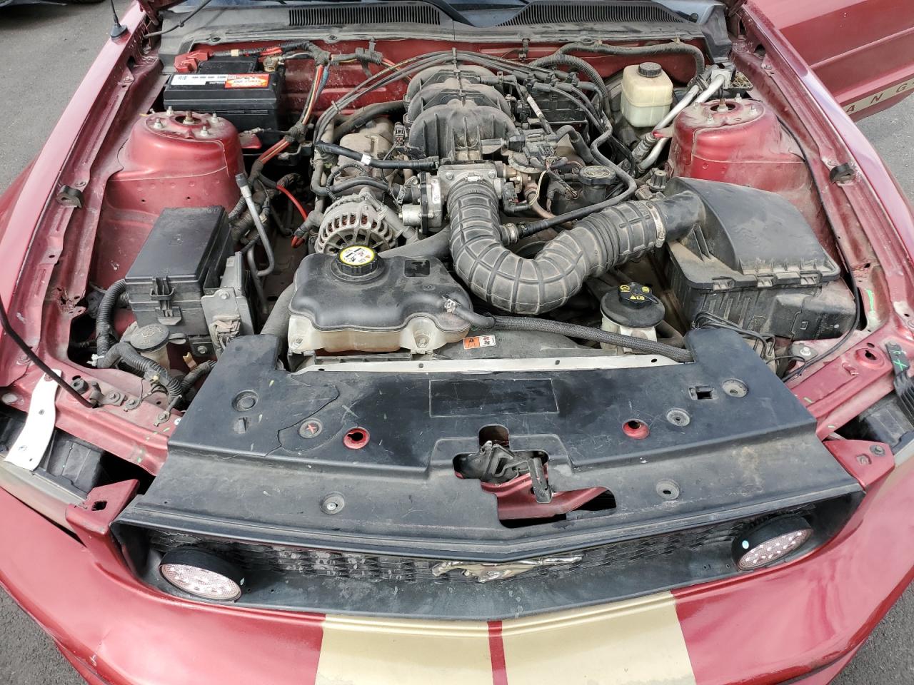 2007 Ford Mustang VIN: 1ZVFT84N175206041 Lot: 82349215