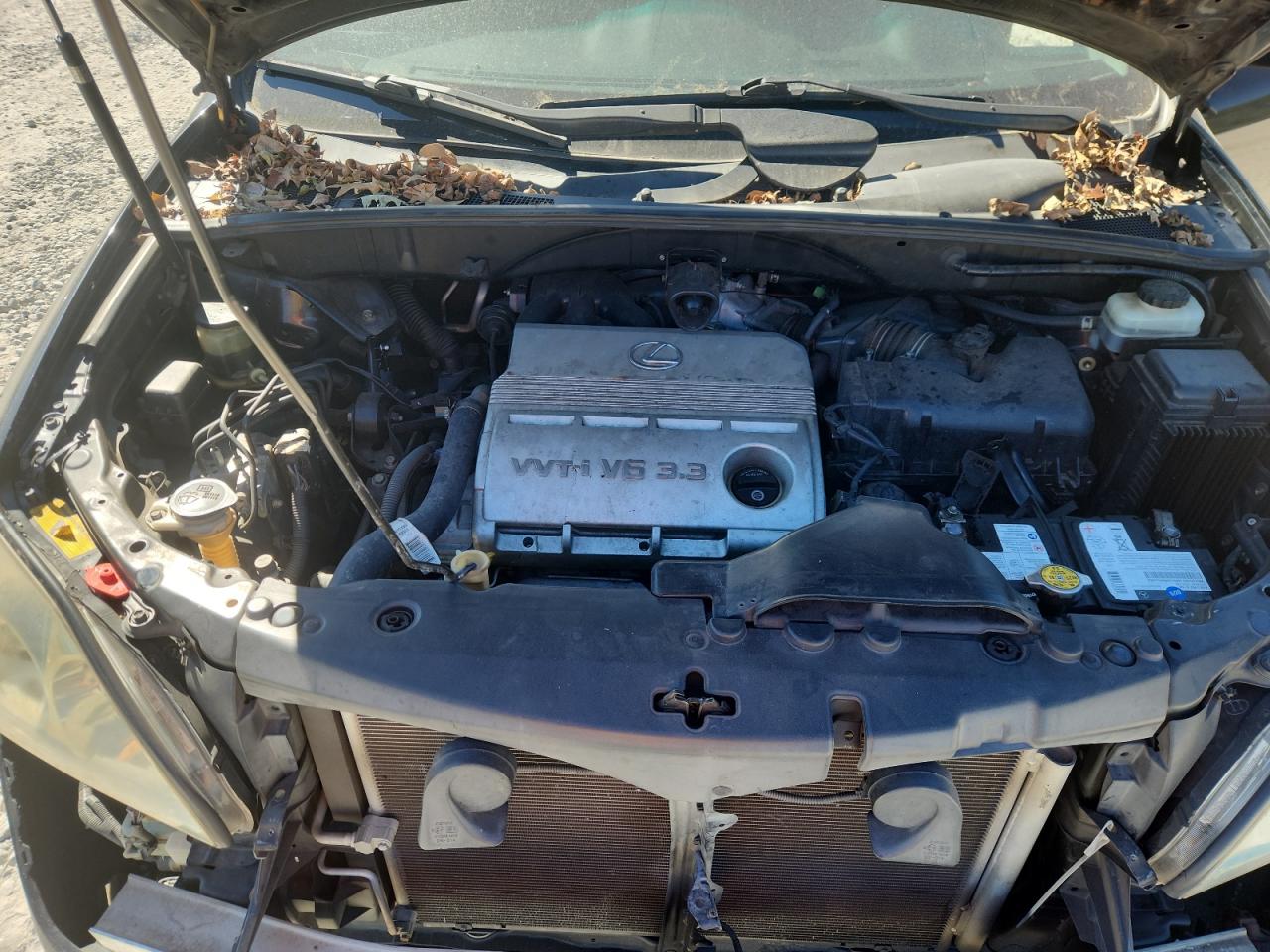 2004 Lexus Rx 330 VIN: JTJGA31U440004750 Lot: 82447465