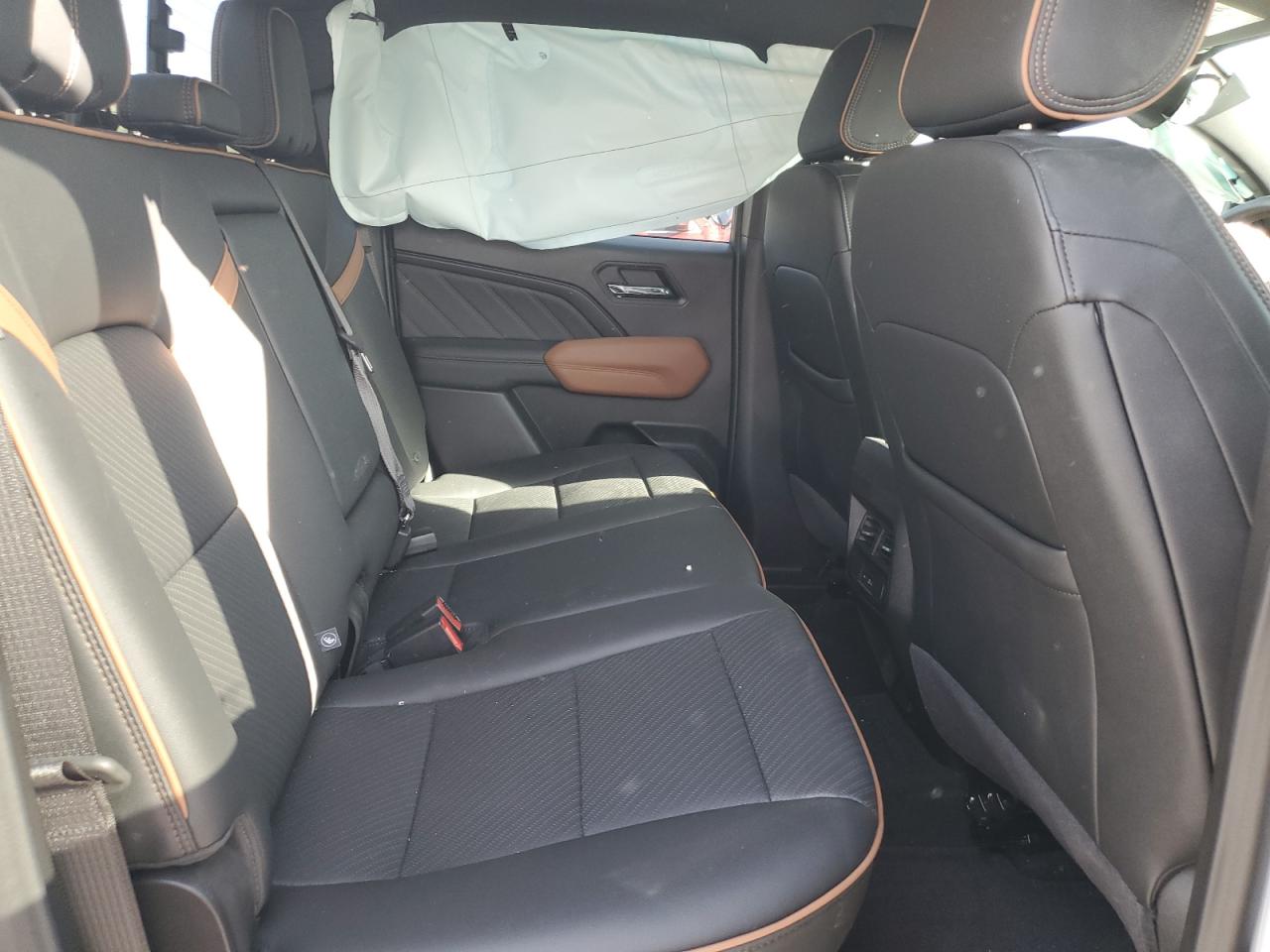 2025 GMC Canyon At4 VIN: 1GTP2DEKXS1195029 Lot: 85182045