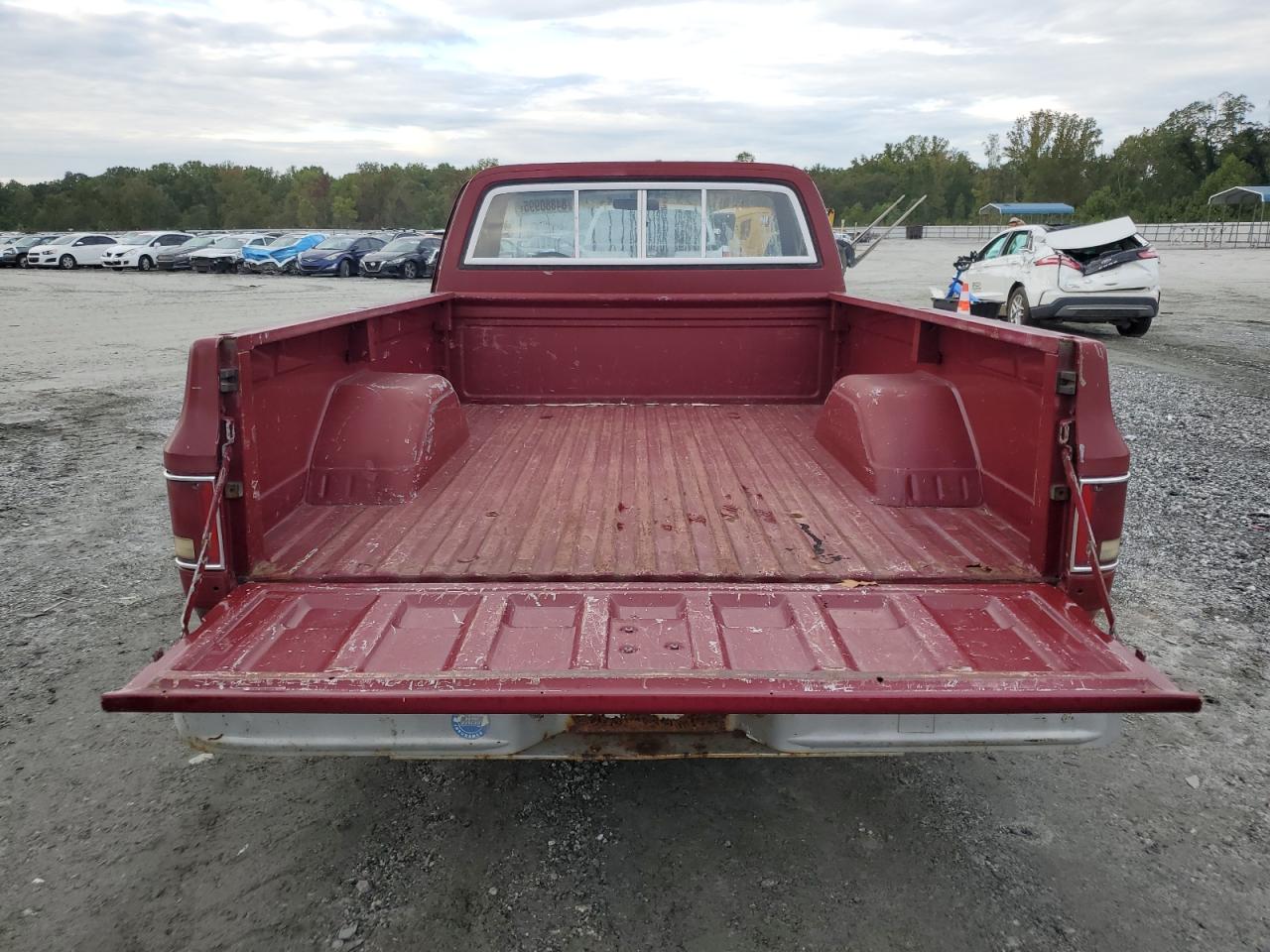 1981 GMC C1500 VIN: 1GTDC14G0BF700445 Lot: 84880995
