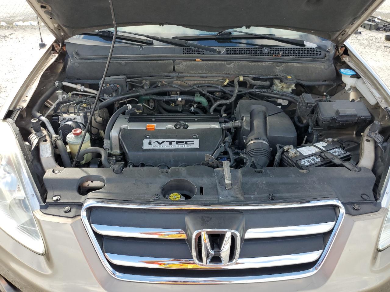 2005 Honda Cr-V Se VIN: SHSRD78955U319371 Lot: 85387505