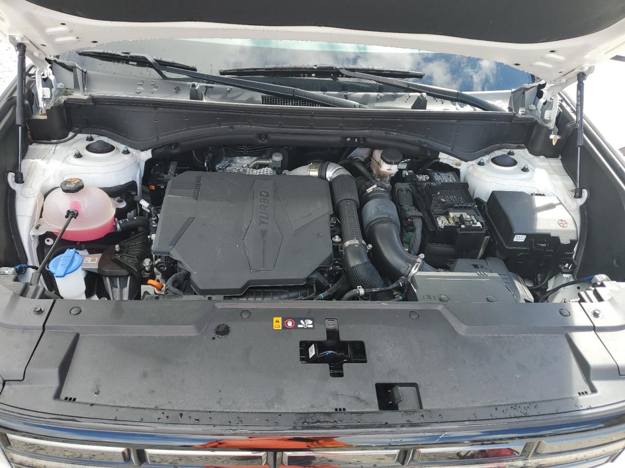 2024 Hyundai Santa Fe Limited VIN: 5NMP44GL1RH044905 Lot: 82254405