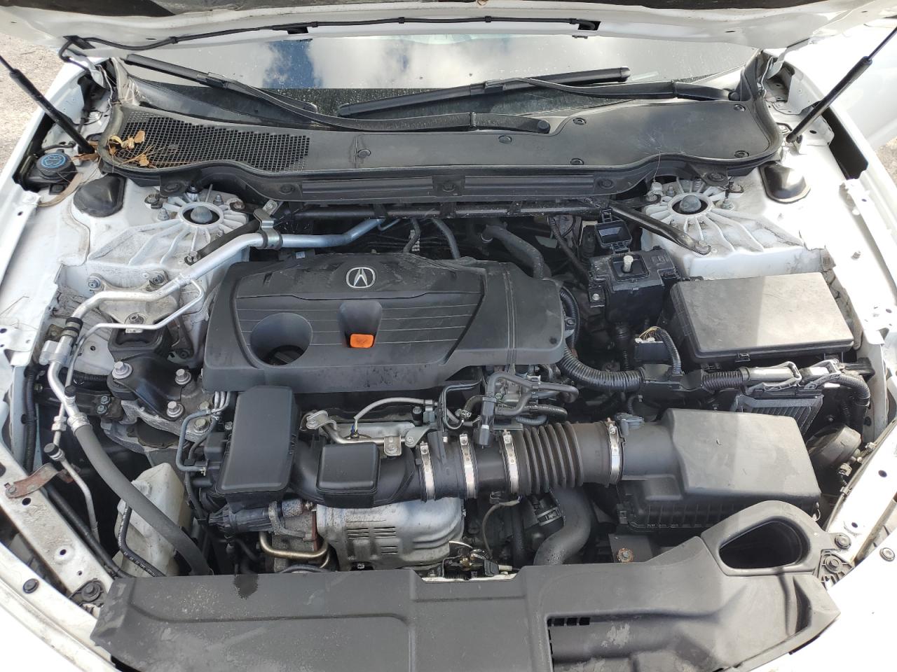 2021 Acura Tlx VIN: 19UUB5F3XMA004343 Lot: 84869905