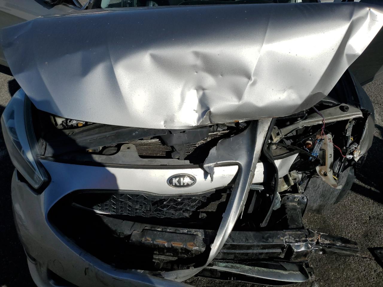 2014 Kia Cadenza Premium VIN: KNALN4D77E5144231 Lot: 90366635