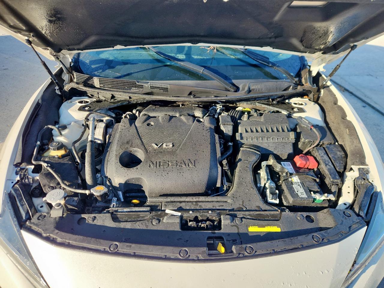 2019 Nissan Maxima S VIN: 1N4AA6AV3KC379419 Lot: 90882275